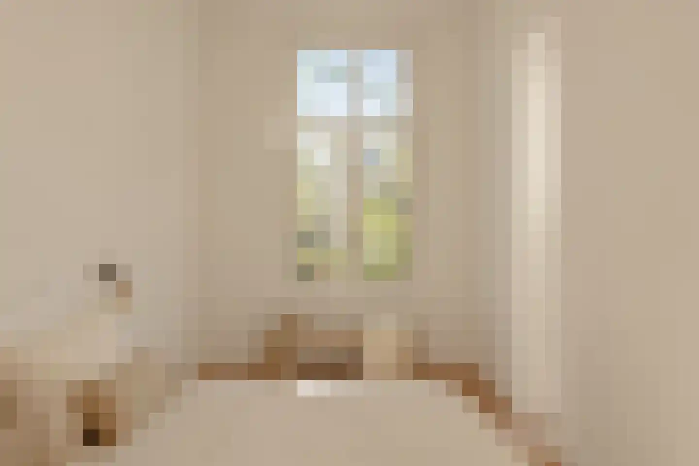 Frans van Mierisstraat 45 2 Amsterdam thumbnail 34