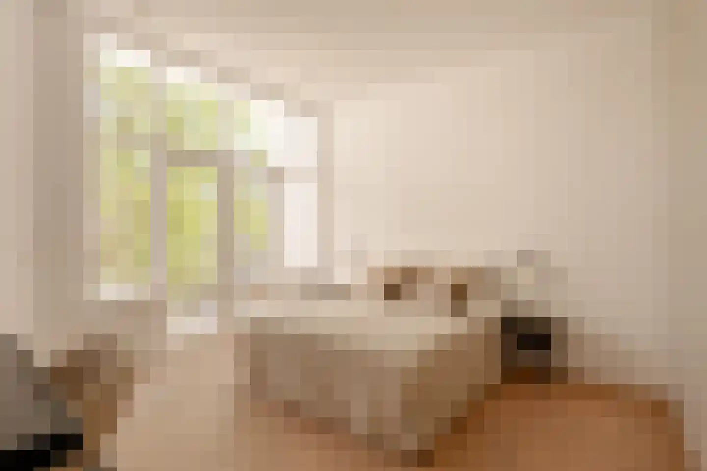 Frans van Mierisstraat 45 H Amsterdam thumbnail 22