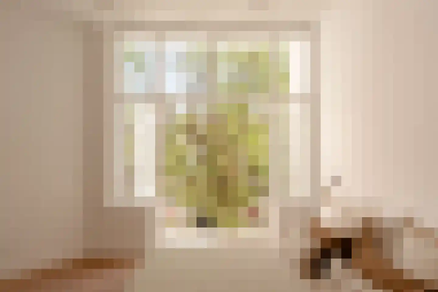 Frans van Mierisstraat 45 H Amsterdam thumbnail 24