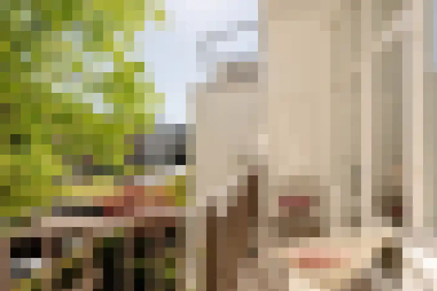 Frans van Mierisstraat 45 H Amsterdam thumbnail 40