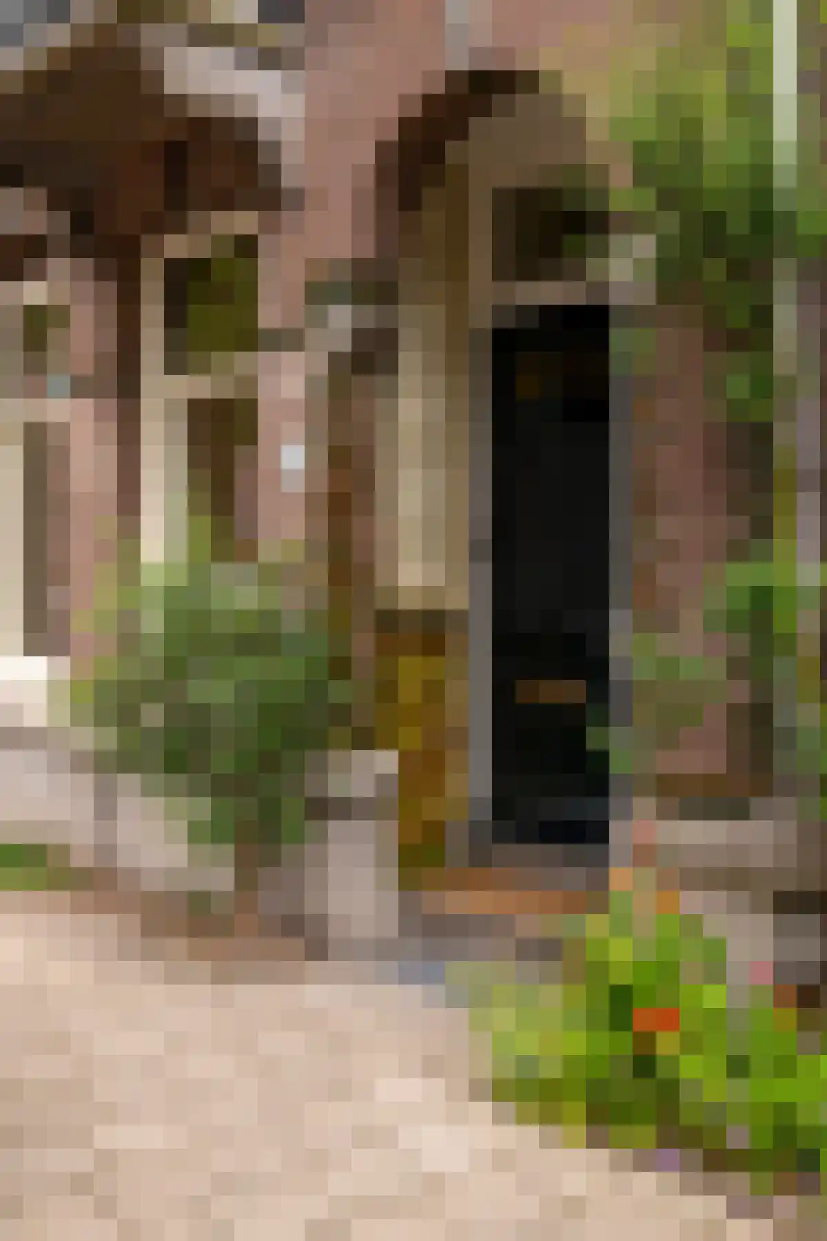 Frans van Mierisstraat 46 Amsterdam thumbnail 5