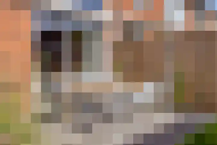Frans van Mierisstraat 49 Deventer thumbnail 23