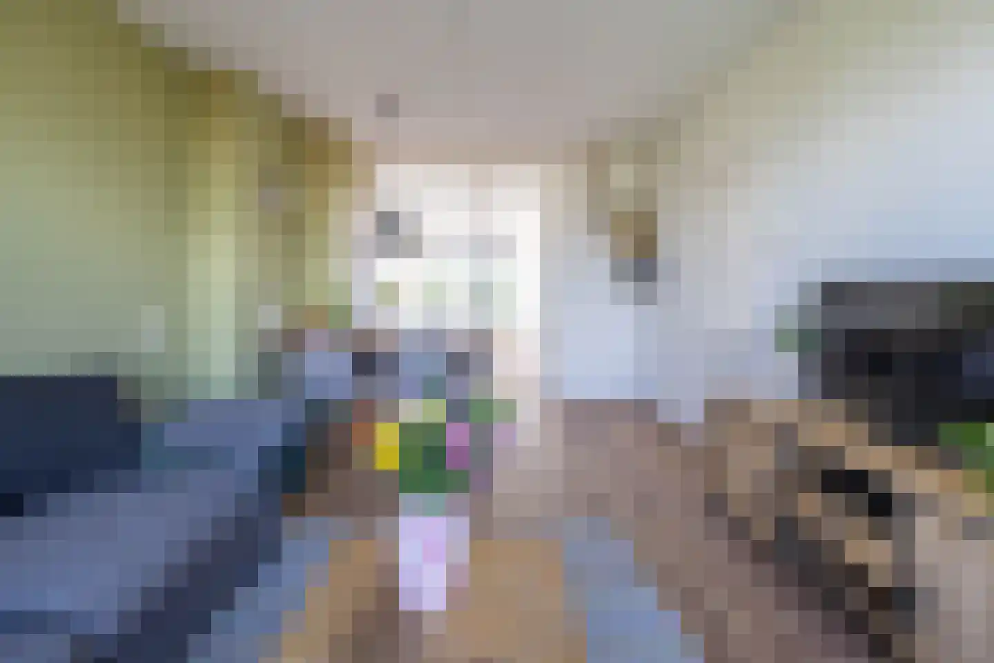 Frans van Mierisstraat 58 Groningen thumbnail 13