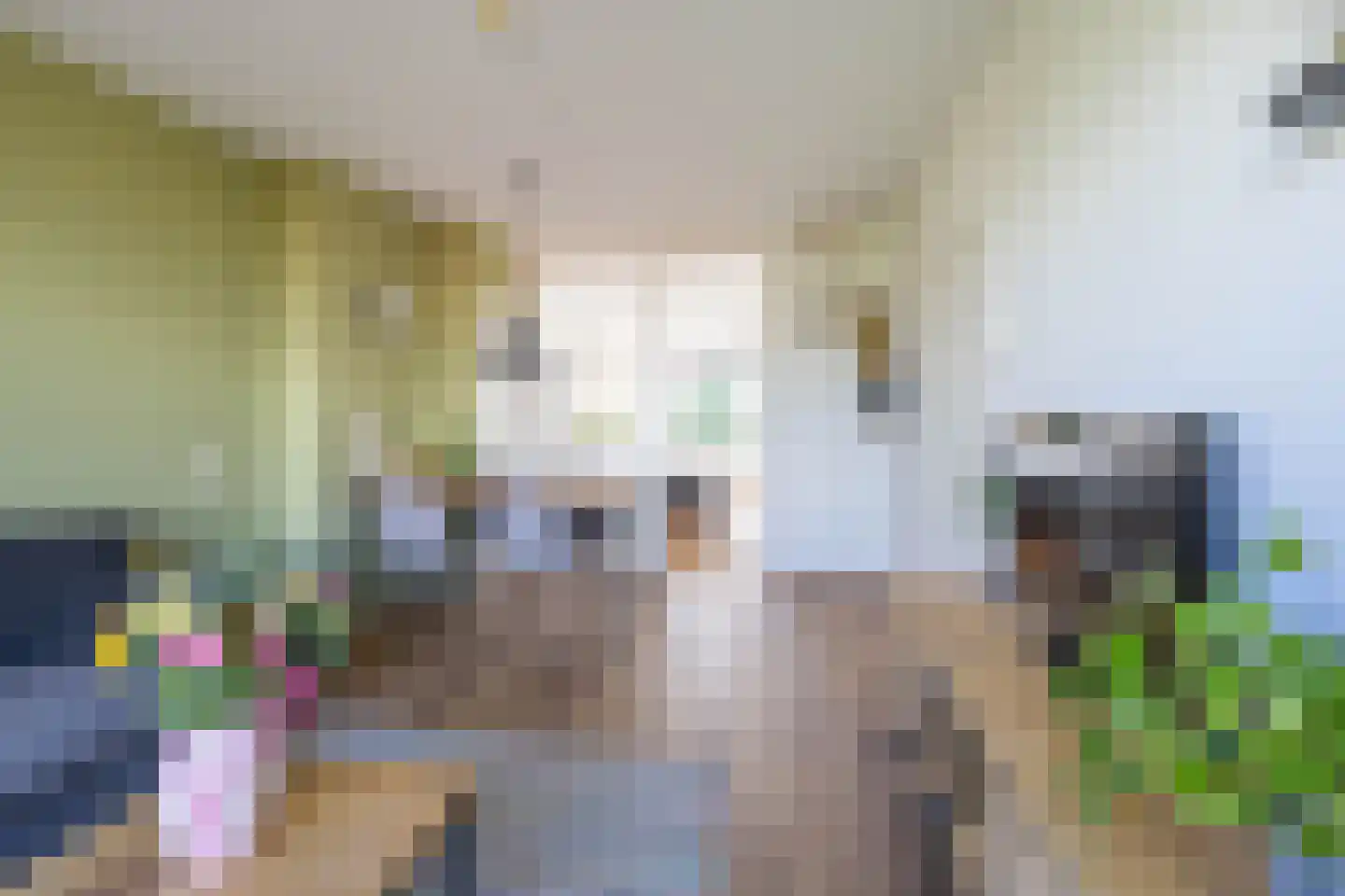 Frans van Mierisstraat 58 Groningen thumbnail 14