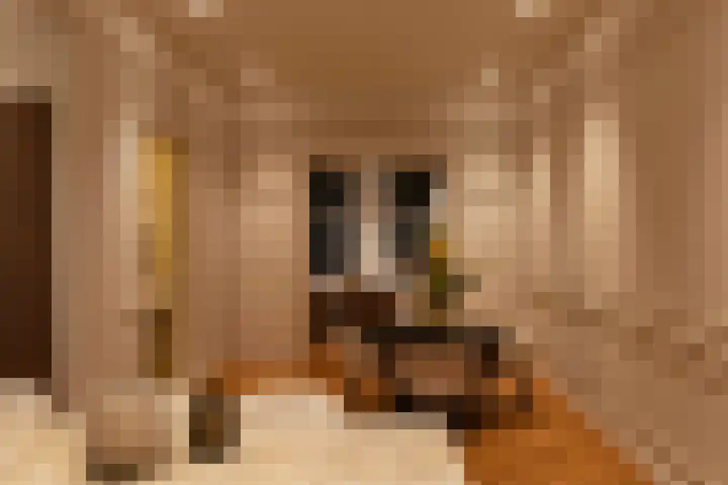 Frans van Mierisstraat 61 2 Amsterdam thumbnail 18