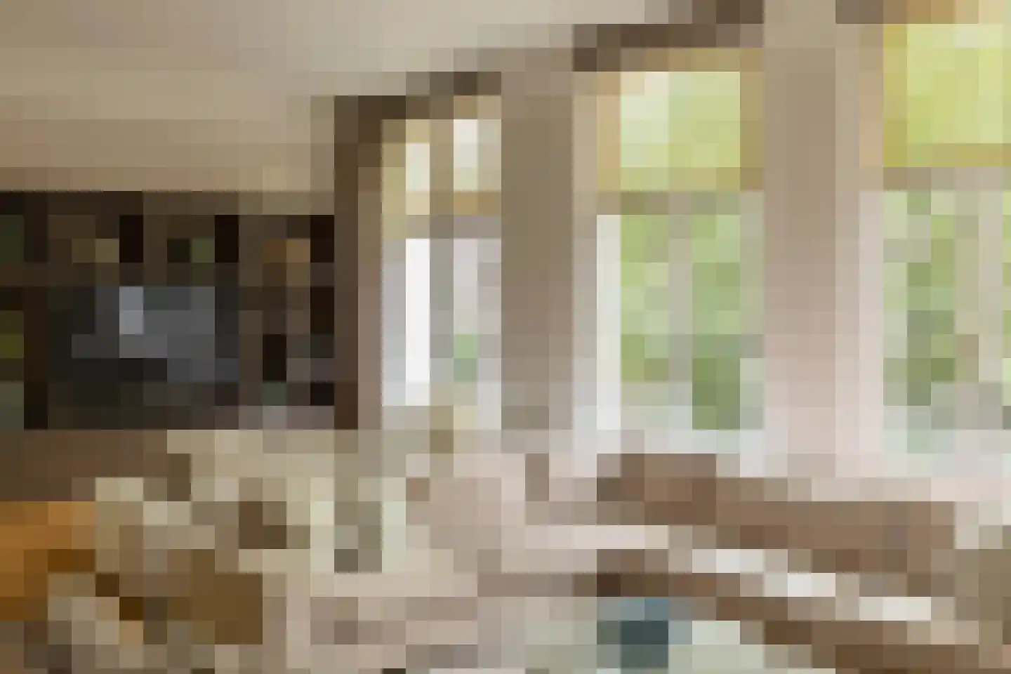 Frans van Mierisstraat 61 2 Amsterdam thumbnail 23