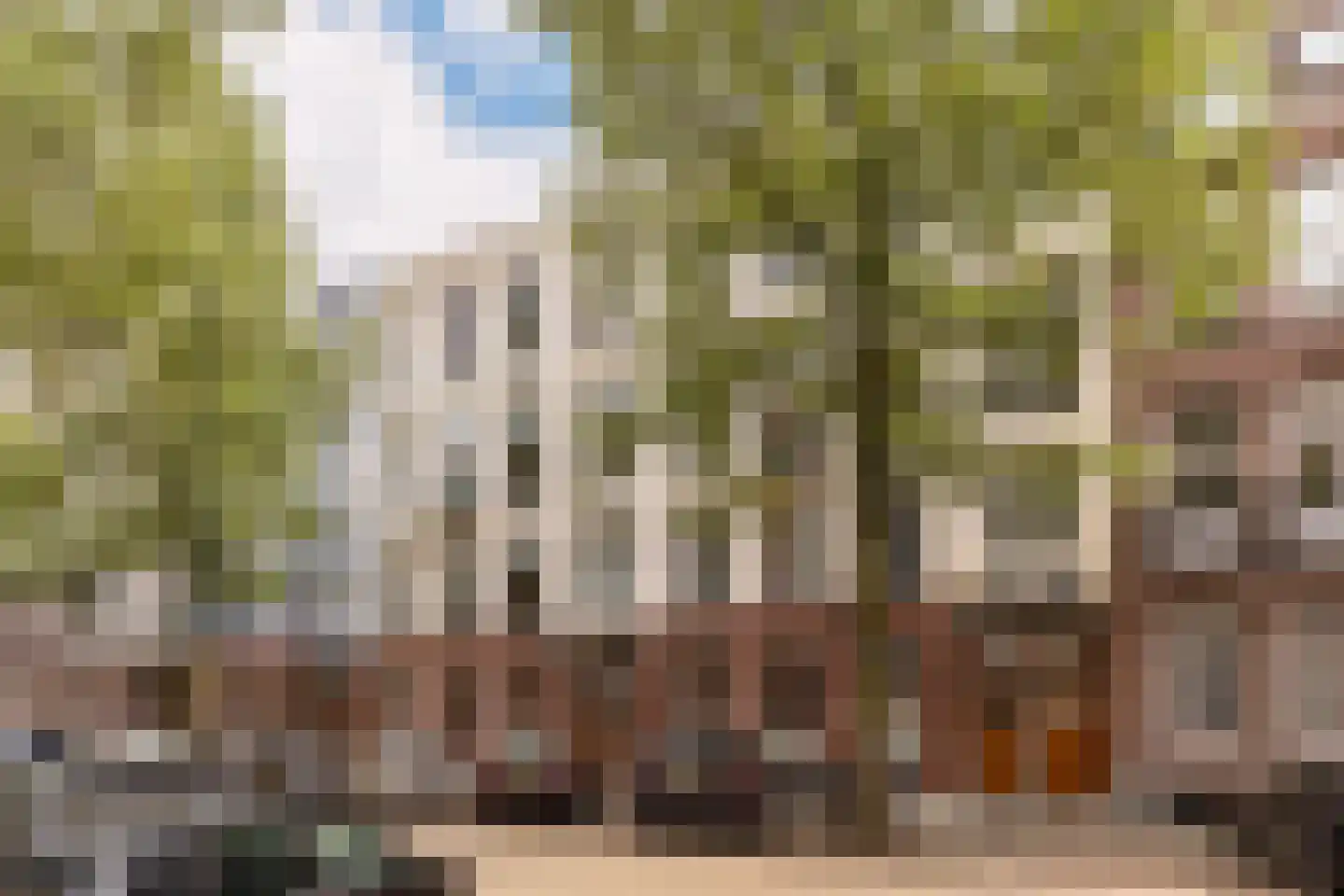 Frans van Mierisstraat 61 2 Amsterdam thumbnail 4