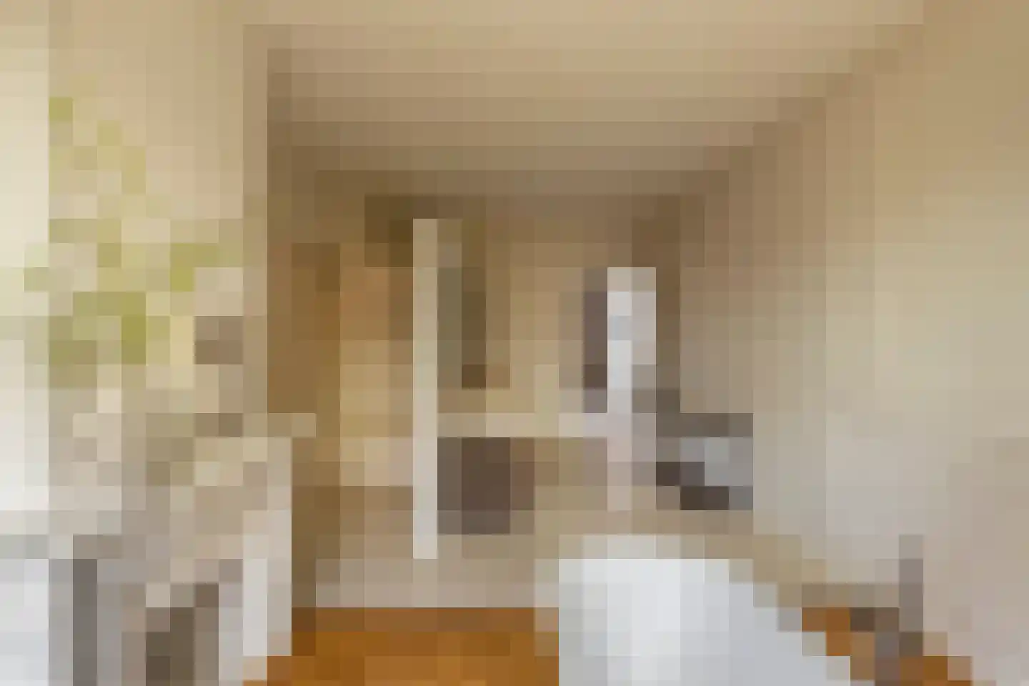 Frans van Mierisstraat 61 2 Amsterdam thumbnail 41