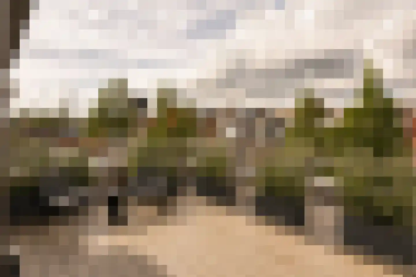 Frans van Mierisstraat 61 2 Amsterdam thumbnail 49
