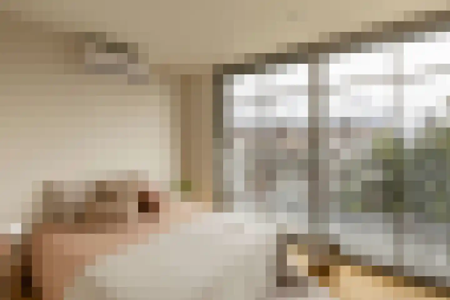 Frans van Mierisstraat 61 2 Amsterdam thumbnail 55
