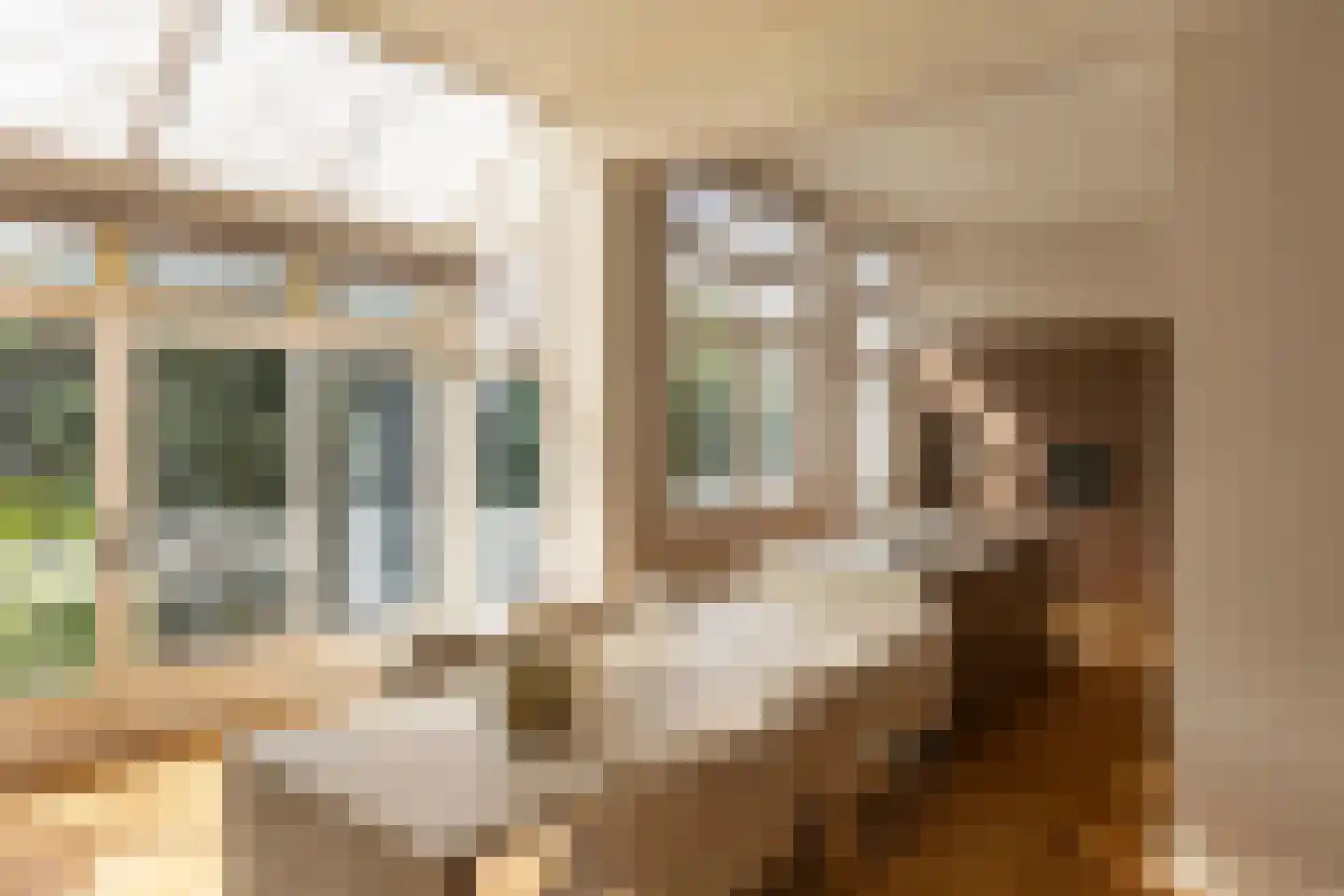 Frans van Mierisstraat 61 2 Amsterdam thumbnail 6