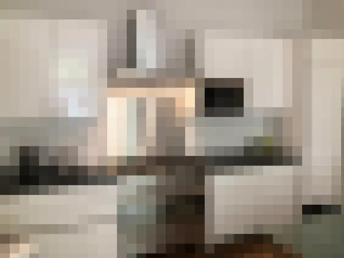 Frans van Mierisstraat 62 Amsterdam thumbnail 4