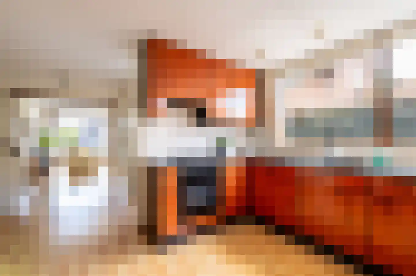 Frans van Mierisstraat 66 Apeldoorn thumbnail 10