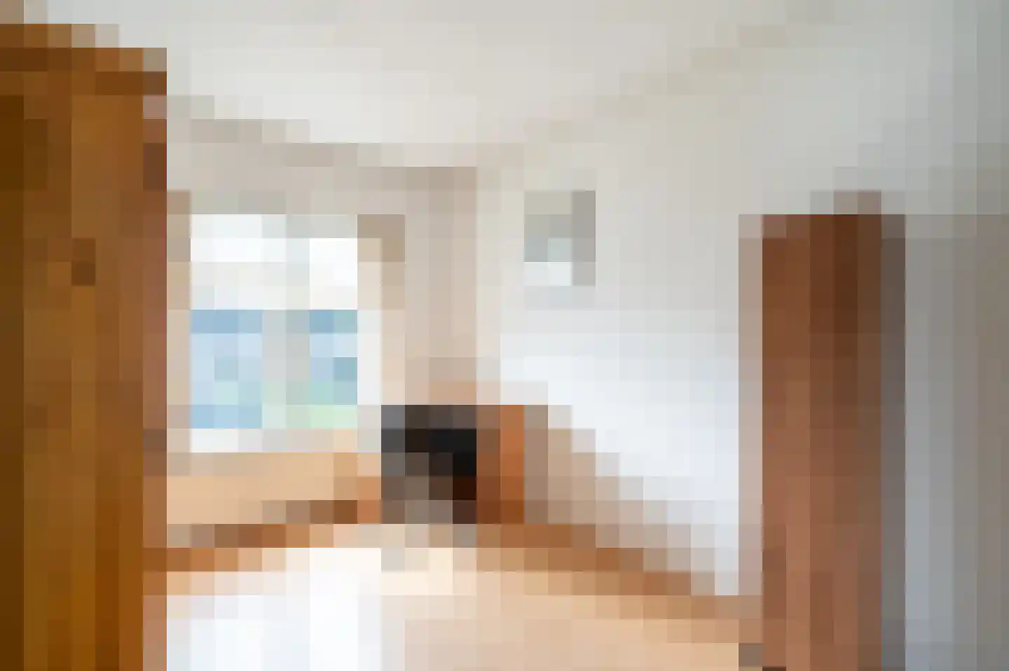 Frans van Mierisstraat 66 Apeldoorn thumbnail 16