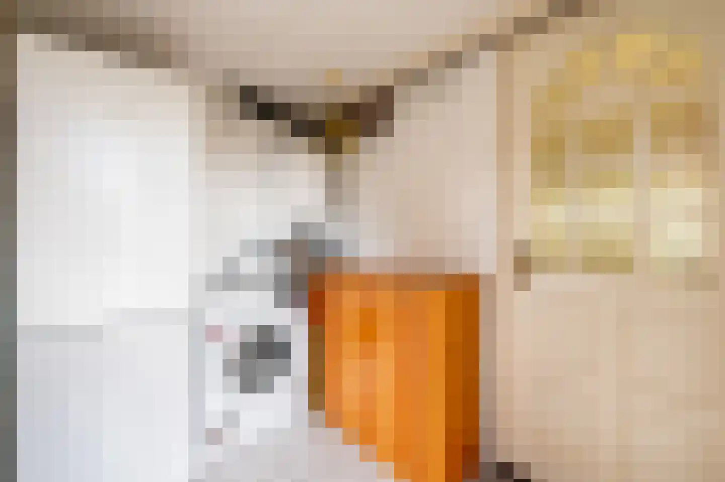 Frans van Mierisstraat 66 Apeldoorn thumbnail 19