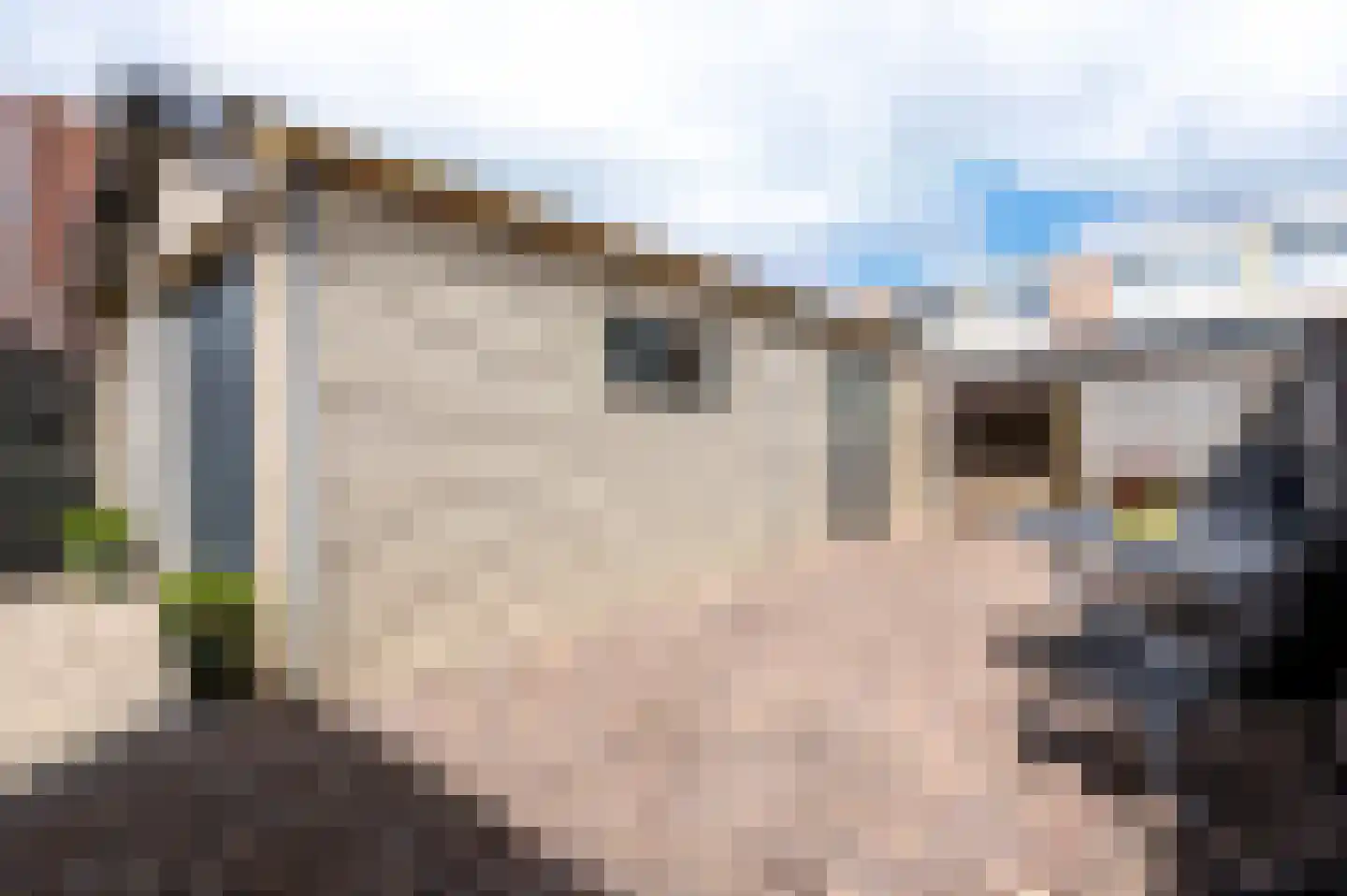 Frans van Mierisstraat 66 Apeldoorn thumbnail 23