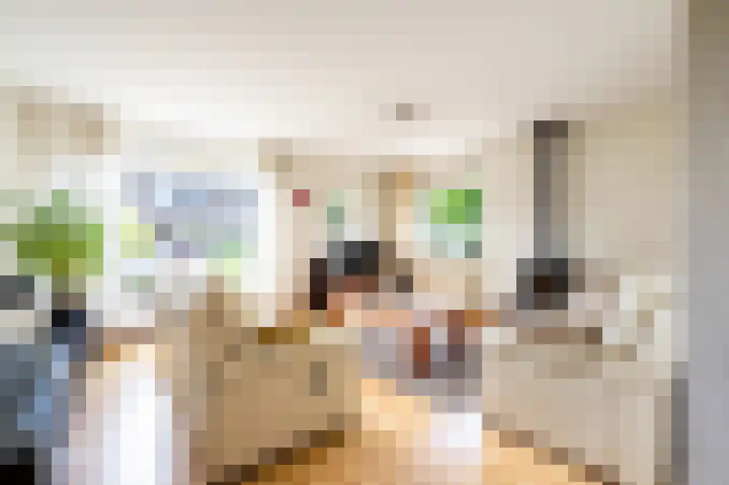 Frans van Mierisstraat 66 Apeldoorn thumbnail 4