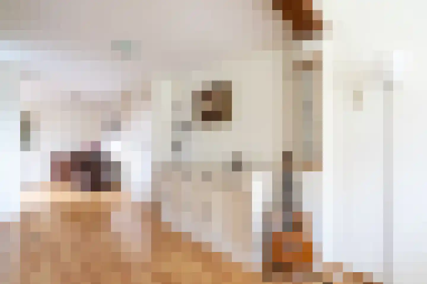 Frans van Mierisstraat 66 Apeldoorn thumbnail 9