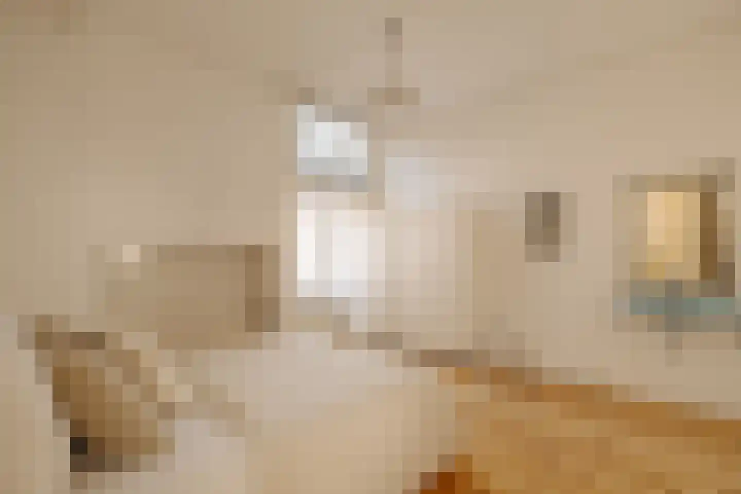 Frans van Mierisstraat 67 2 Amsterdam thumbnail 18