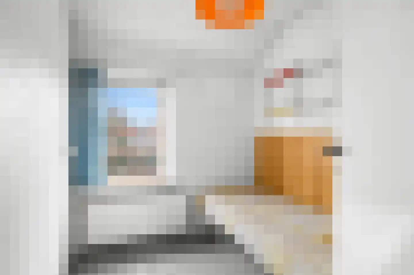 Frans van Mierisstraat 7 Deventer thumbnail 12