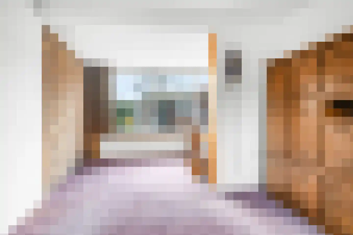 Frans van Mierisstraat 7 Deventer thumbnail 4