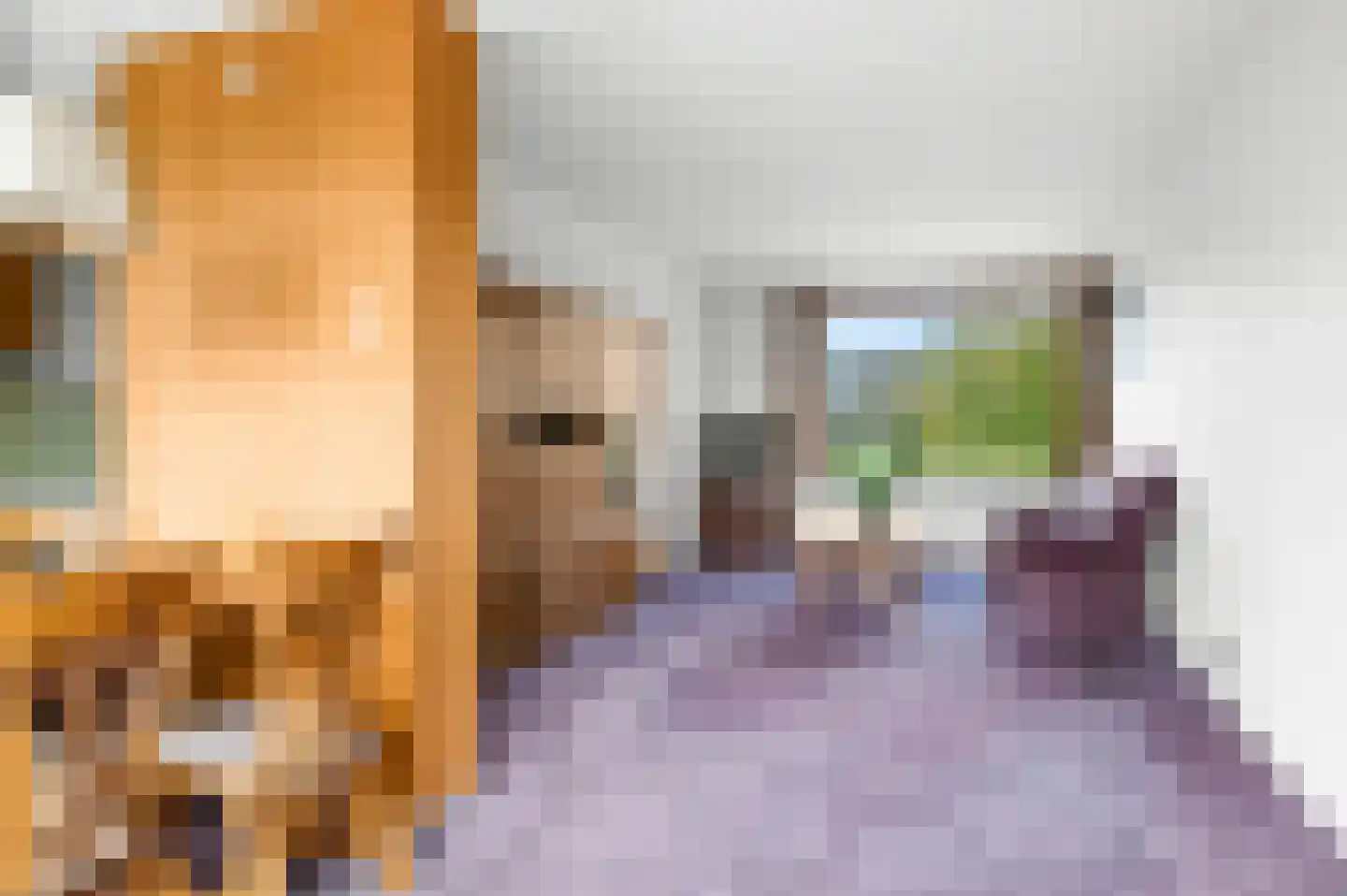 Frans van Mierisstraat 7 Deventer thumbnail 5