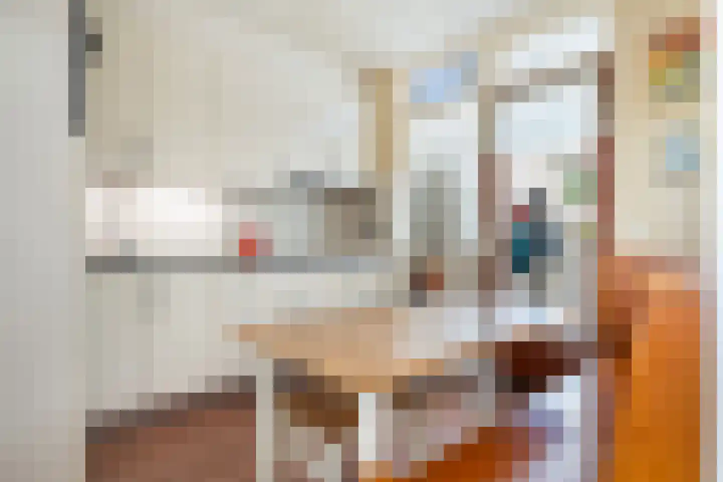 Frans van Mierisstraat 8 Apeldoorn thumbnail 10