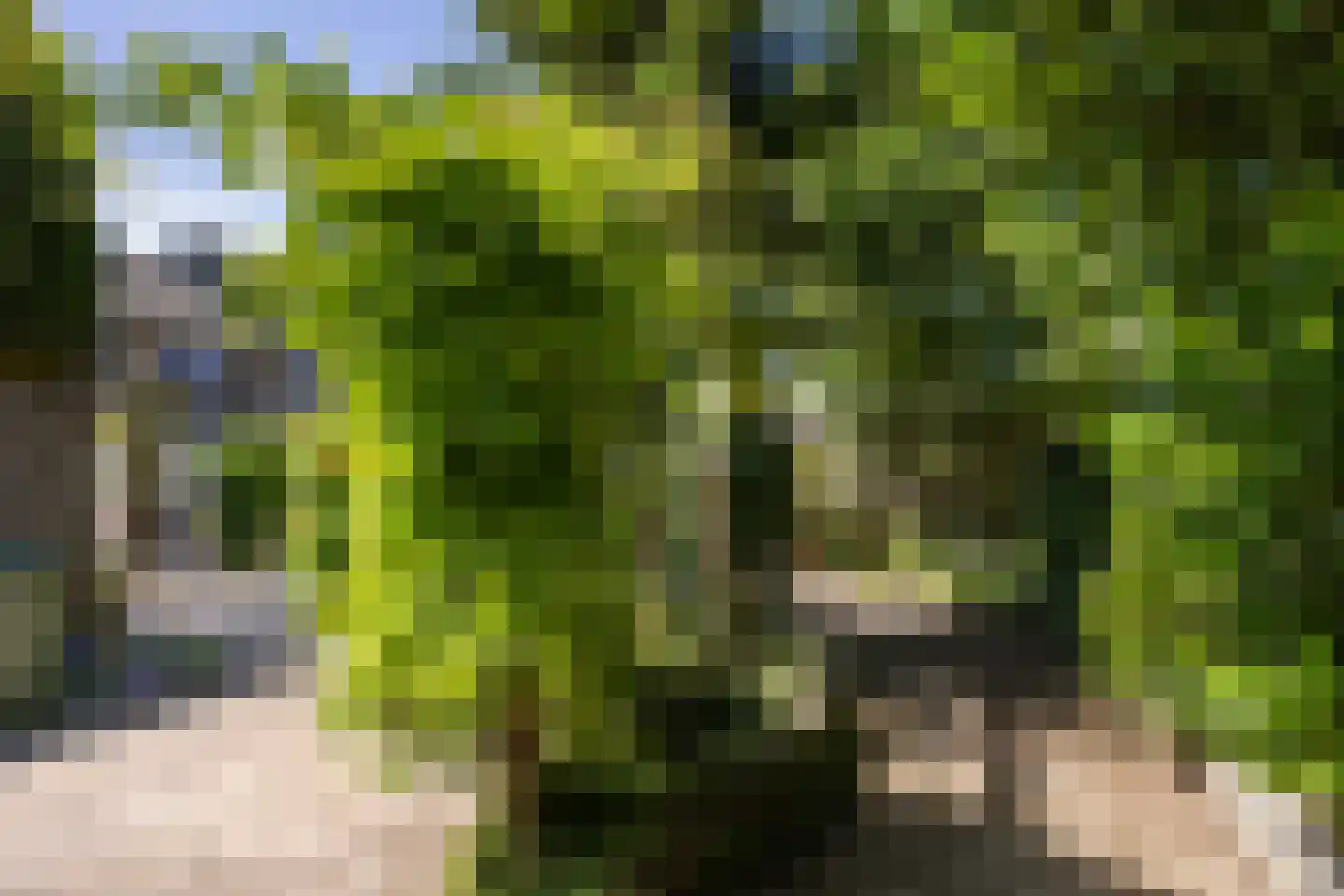 Frans van Mierisstraat 8 Apeldoorn thumbnail 15