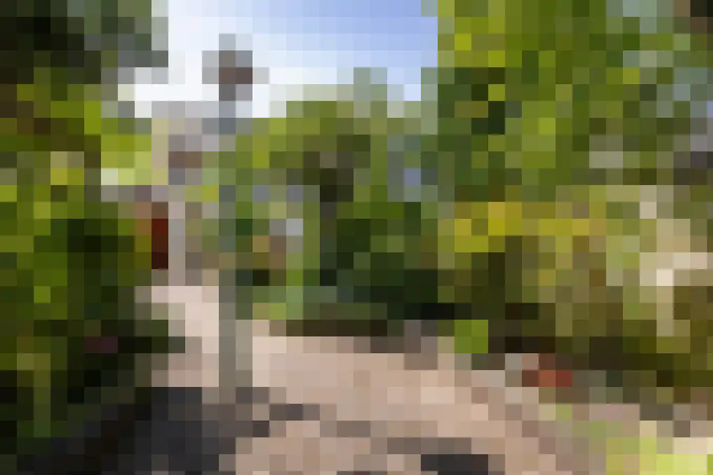 Frans van Mierisstraat 8 Apeldoorn thumbnail 16