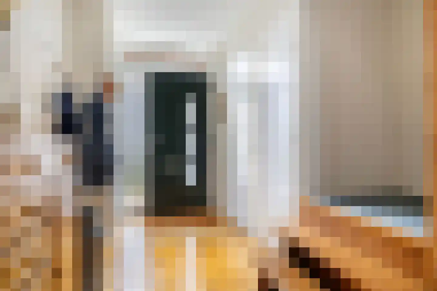 Frans van Mierisstraat 8 Apeldoorn thumbnail 20