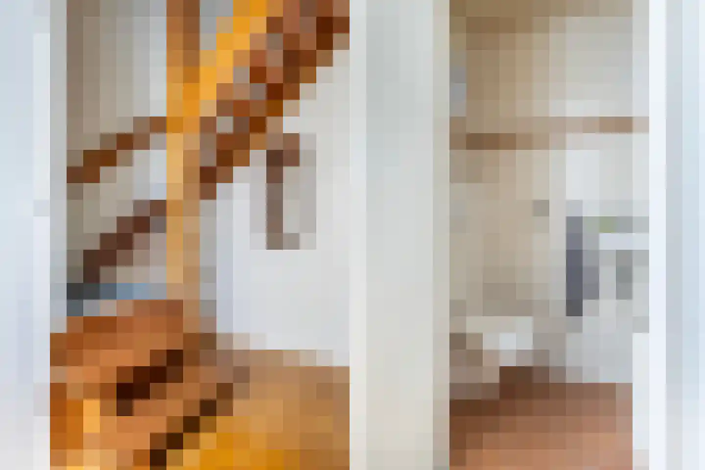 Frans van Mierisstraat 8 Apeldoorn thumbnail 21