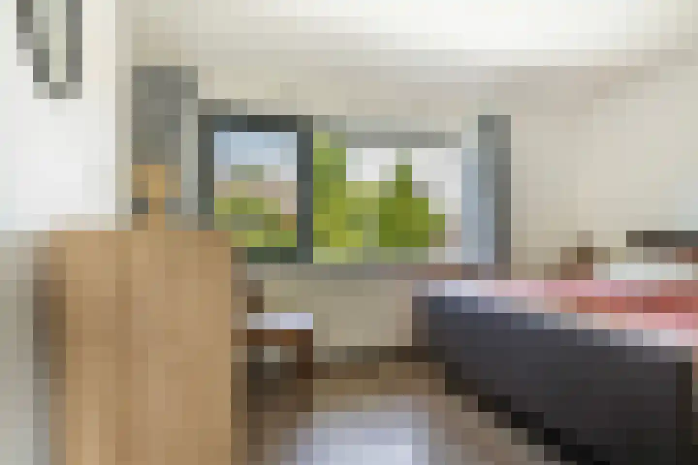 Frans van Mierisstraat 8 Apeldoorn thumbnail 23