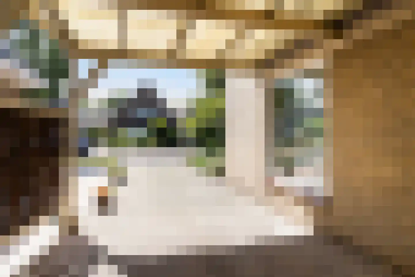 Frans van Mierisstraat 8 Apeldoorn thumbnail 33