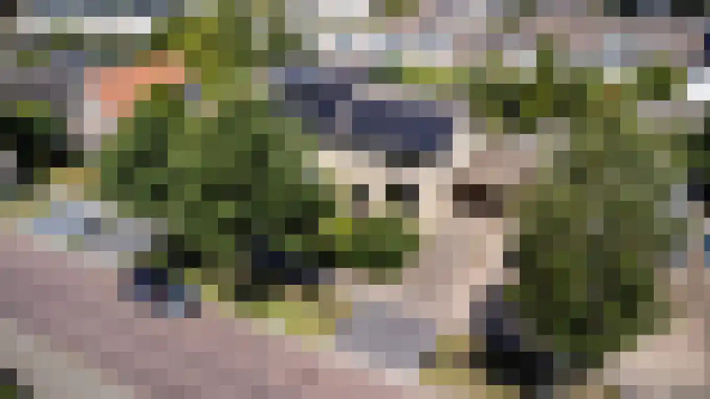 Frans van Mierisstraat 8 Apeldoorn thumbnail 34