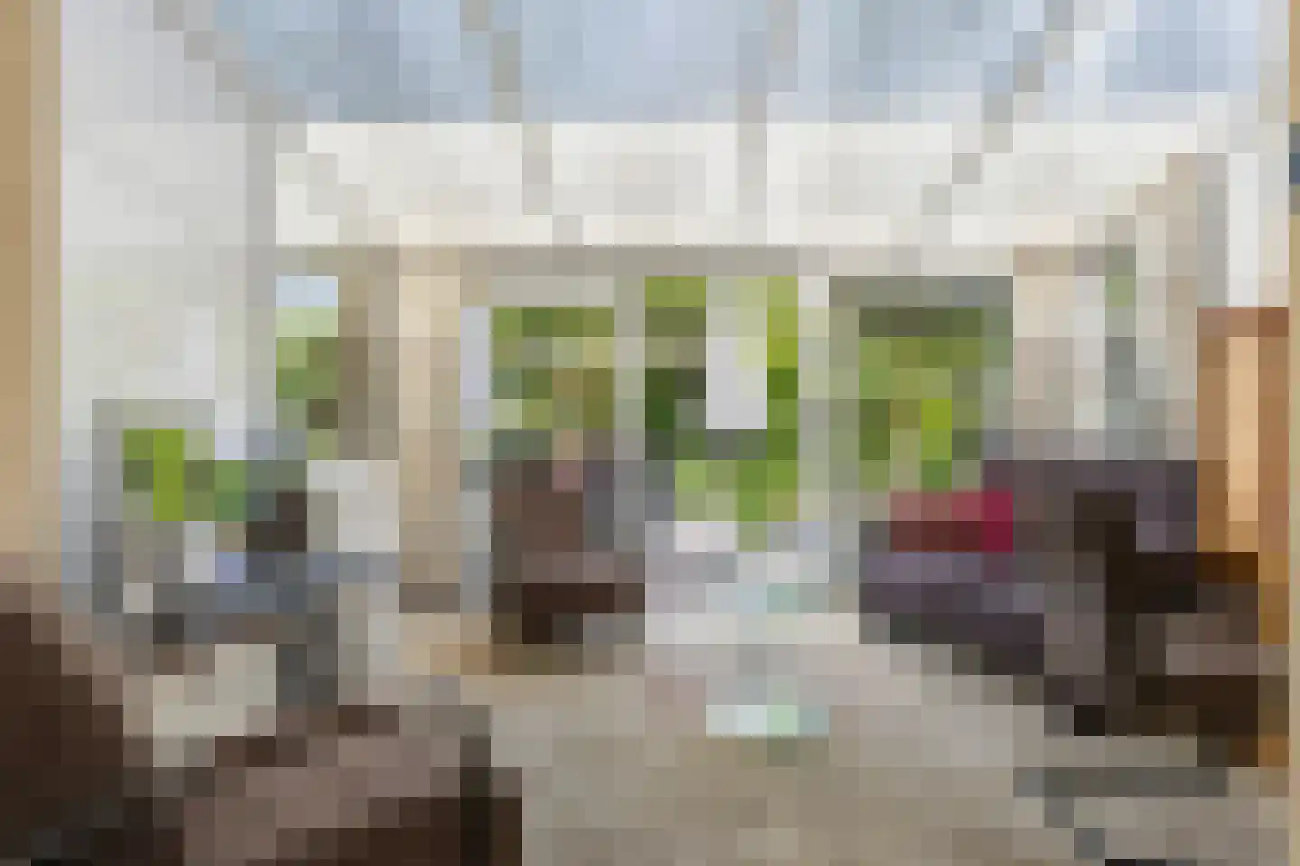 Frans van Mierisstraat 8 Apeldoorn thumbnail 7
