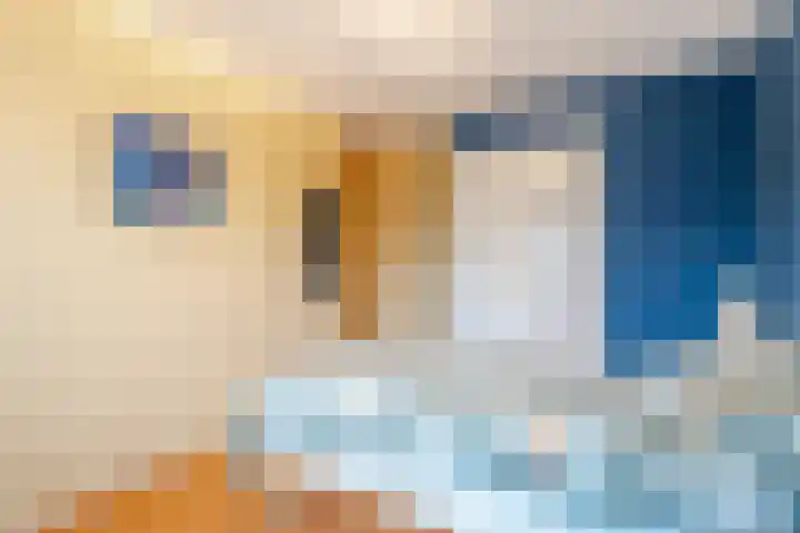 Frans van Mierisstraat 9 Papendrecht thumbnail 12