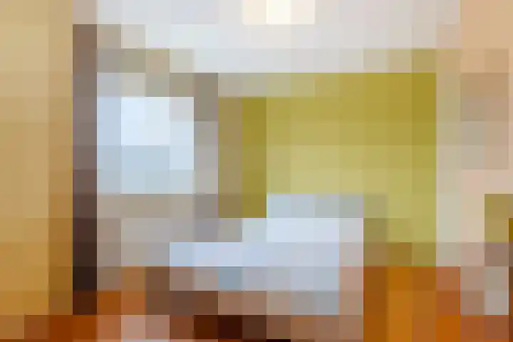 Frans van Mierisstraat 9 Papendrecht thumbnail 13