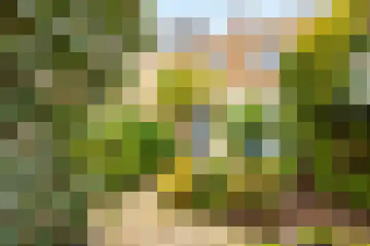 Frans van Mierisstraat 9 Papendrecht thumbnail 21