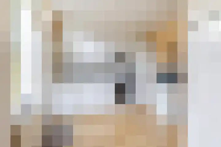 Frans van Mierisstraat 9 Papendrecht thumbnail 5