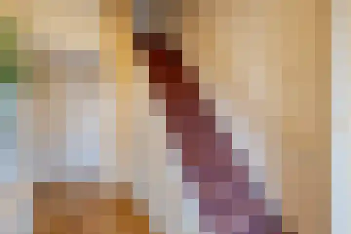 Frans van Mierisstraat 9 Papendrecht thumbnail 6