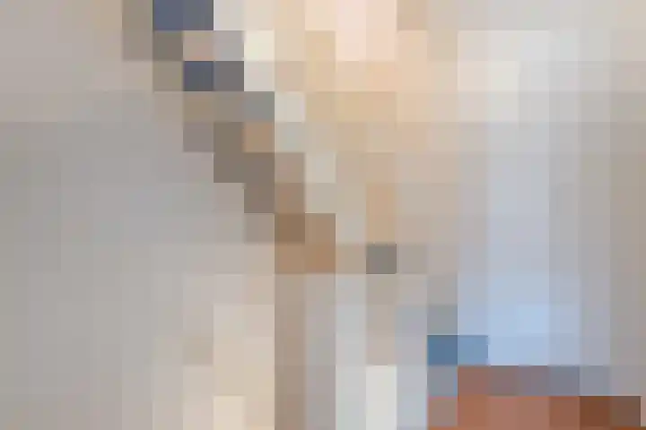 Frans van Mierisstraat 9 Papendrecht thumbnail 8