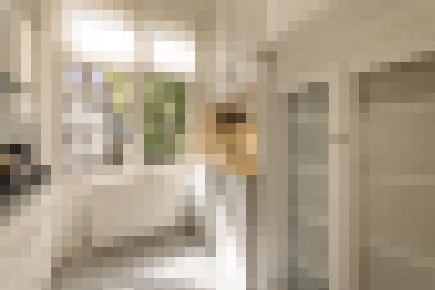 Frans van Mierisstraat 99 H Amsterdam thumbnail 18
