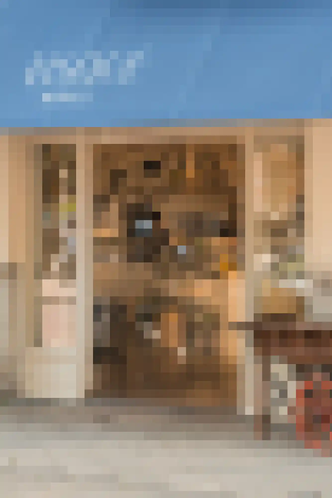 Frans van Mierisstraat 99 H Amsterdam thumbnail 27