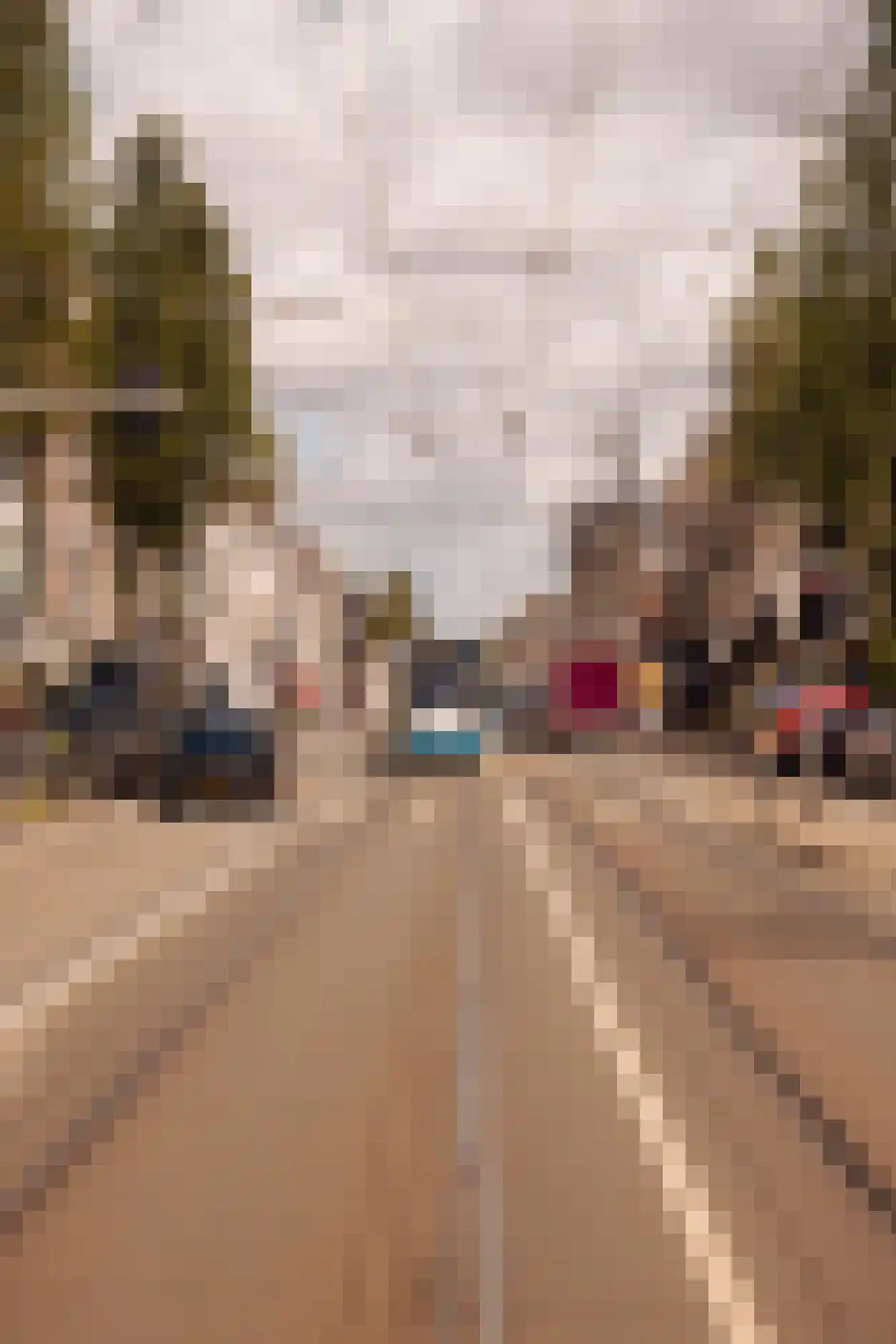 Frans van Mierisstraat 99 H Amsterdam thumbnail 28