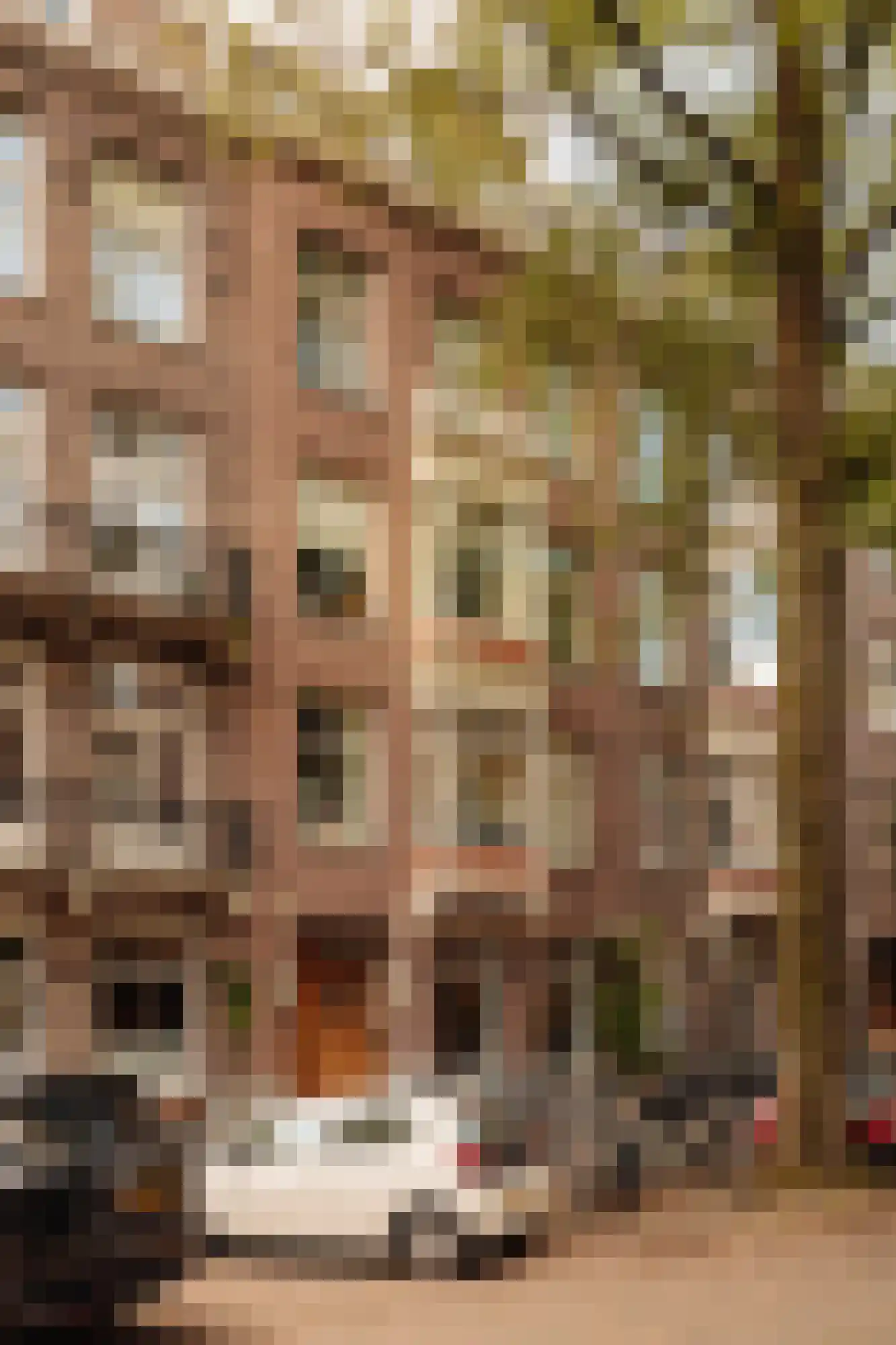 Frans van Mierisstraat 99 H Amsterdam thumbnail 6