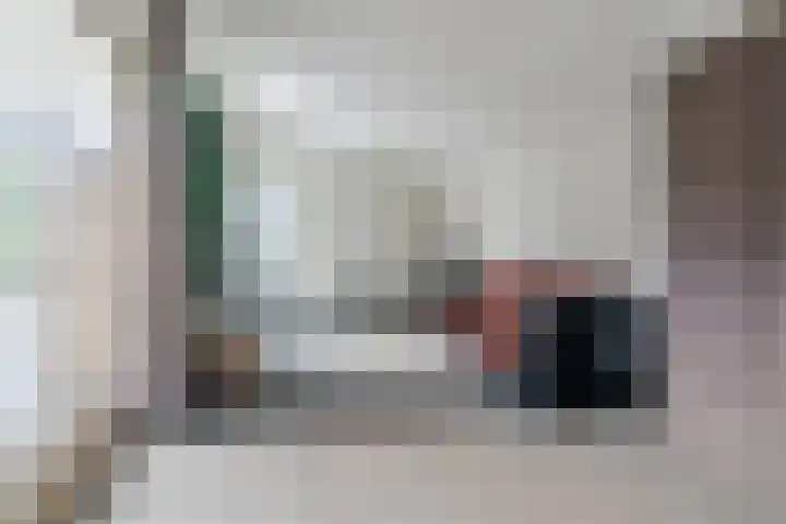 Frans van Nunenstraat 19 Steensel thumbnail 18