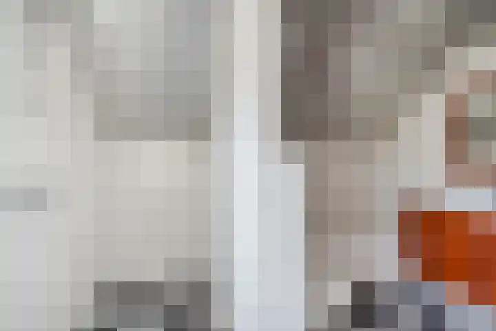 Frans van Nunenstraat 19 Steensel thumbnail 25