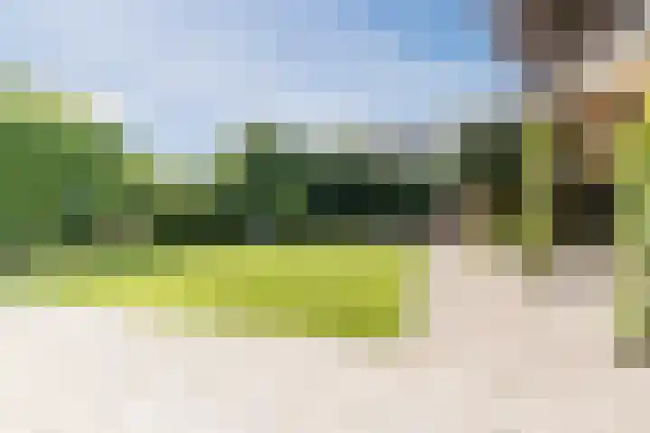 Frans van Nunenstraat 19 Steensel thumbnail 28