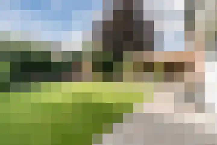 Frans van Nunenstraat 19 Steensel thumbnail 29