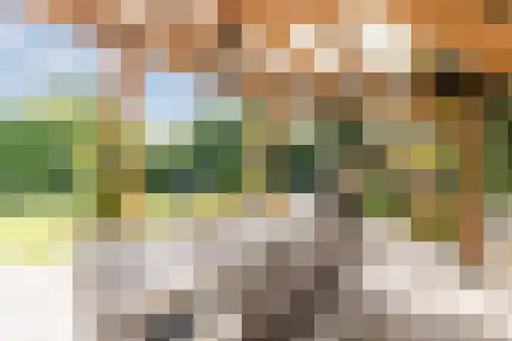 Frans van Nunenstraat 19 Steensel thumbnail 30
